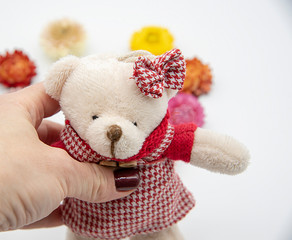 Soft toy teddy bear in a female hand.