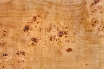 wooden board with poplar burl veneer