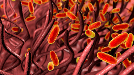 Whooping cough bacteria Bordetella pertussis in respiratory tract, 3D illustration showing cilia of respiratory epithelium and bacteria