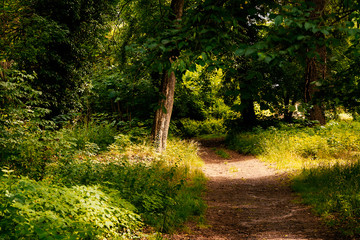 Sandweg in einer romantischen Parklandschaft