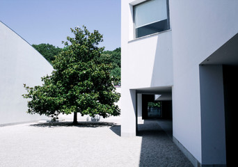 Trees of green