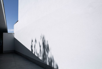 White Shadow