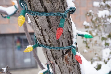 The Christmas lights directly on the tree make a cool background. Behind you can see the snow and a building.
