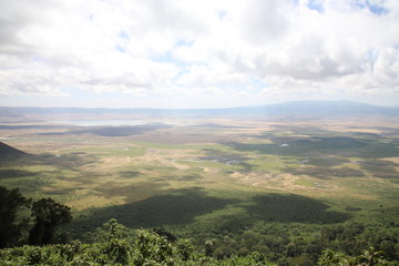 Obraz premium Ngorongoro Conservation Area, Tanzania
