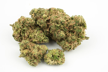 Close up marijuana buds isolated on white background