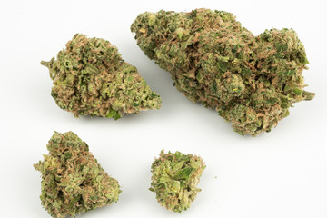 Close up marijuana buds isolated on white background