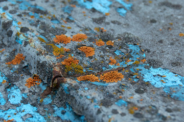 Texture of rusty metal with peeling paint
