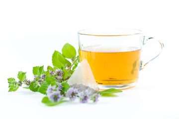 Glass clear cup with hot tea. A branch of fresh mint and an individual bag with a tea brew lies next to it. The white isolated background. Copyspace