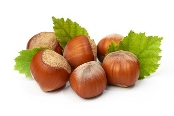 Hazelnut nut many leaves isolated on a white background as a packaging design element