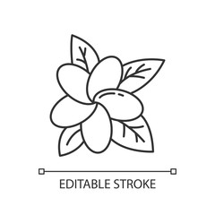 Plumeria linear icon. Exotic flower. Flora of Indonesian islands. Tropical plants. Blossom of frangipani. Thin line illustration. Contour symbol. Vector isolated outline drawing. Editable stroke