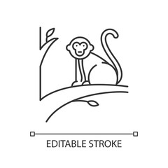 Monkey on tree linear icon. Tropical country animal. Indonesia islands wildlife. Primate sitting. Thin line illustration. Contour symbol. Vector isolated outline drawing. Editable stroke