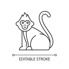 Baby monkey linear icon. Tropical country animal. Indonesian islands wildlife. Cute primate sitting. Thin line illustration. Contour symbol. Vector isolated outline drawing. Editable stroke