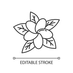 Plumeria linear icon. Exotic region flowers. Flora of Indonesia. Tropical plants. Blossom of frangipani. Thin line illustration. Contour symbol. Vector isolated outline drawing. Editable stroke