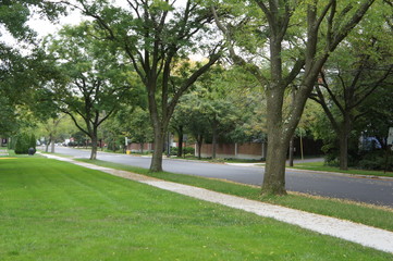 Princeton