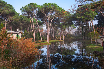 Marina Romea, Ravenna, Emilia-Romagna, Italy: landscape of the swamp in the Po Delta Park on the...