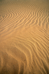 Background of natural wavy sand