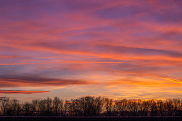 Obraz premium Colorful sunset behind silhouette of trees for website background. Sky above Zagreb, Croatia.