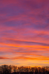 Colorful sunset behind silhouette of trees for website background. Sky above Zagreb, Croatia.