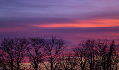 Fototapeta na wymiar Colorful sunset behind silhouette of trees for website background. Sky above Zagreb, Croatia.