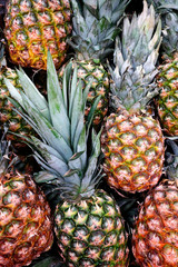 harvest of ripe pineapple fruits collected and piled in a pile