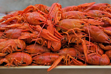 boiled red crayfish on a wooden dish, snack