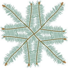 Fototapeta premium Composition of crossed green pine branches on a white isolated background.