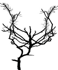 A leafless tree vector