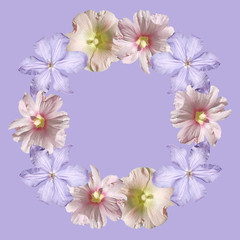 Beautiful floral circle of clematis and mallow. Isolated