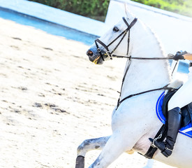 Horse and rider in light uniform performing jump at show jumping competition. Beautiful white horse...