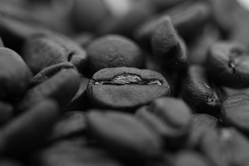 Close up on a pile of coffee beans