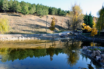 Water reflection in park