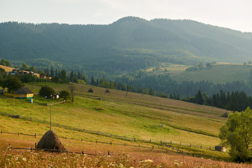 Sunset in carpathian mountains - beautiful summer landscape, spruces on hills, dark cloudy sky and bright sun light, meadow and wildflowers