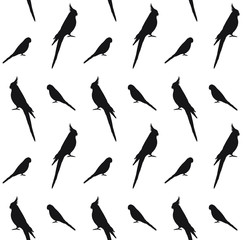 Vector seamless pattern of black budgie and cockatiel parrot silhouette isolated on white background