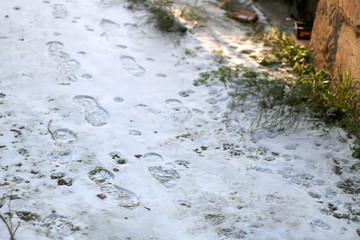 Human and animal footsteps in the snow. Selective focus.