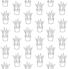 Vector seamless pattern of hand drawn doodle sketch potted aloe vera isolated on white background