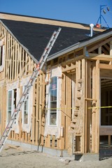 Obraz premium 11150131