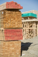 Fototapeta premium 11150111