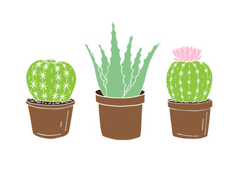 Vector hand drawn doodle sketch set of three colored cactus and aloe in pots isolated on white background