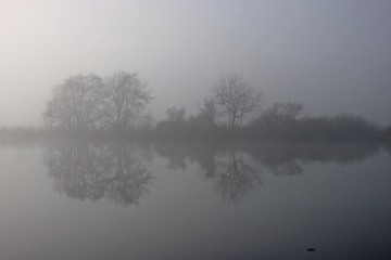 Bäume spiegeln sich im Winter bei Nebel in der Eder
