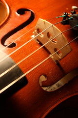 violin and strings