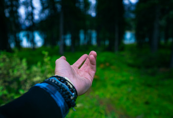 Hand Extending Into Wooded Forest Outdoors