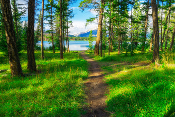 Lake Tahoe In Summer