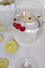 Healthy drink with lime and cranberries