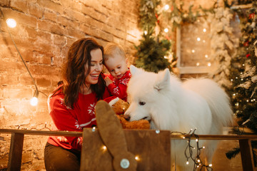Mother and her son sit next to dog against background of Christmas tree.