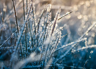 natural background with shiny transparent crystals of cold frost cover the grass like beads on a field on a morning Sunny winter day