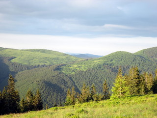 Beautiful slopes of mountains in summer