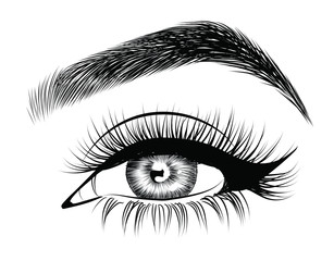  Fashion illustration of the eye with long full lashes. Hand drawn vector idea for business visit cards, templates, web, salon banners,brochures. Natural eyebrows and modern makeup