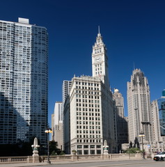 Fototapeta na wymiar Chicago Skyline with City Hall