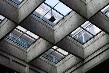 windows of modern building