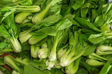 Obraz premium green leaves cabbage bok choy vegetables